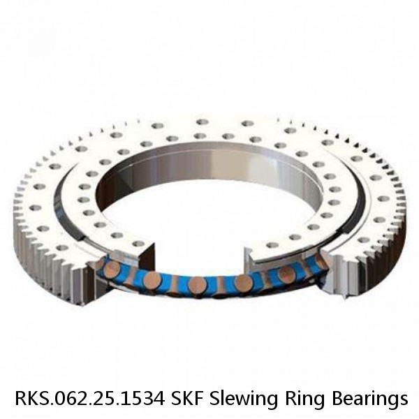 RKS.062.25.1534 SKF Slewing Ring Bearings