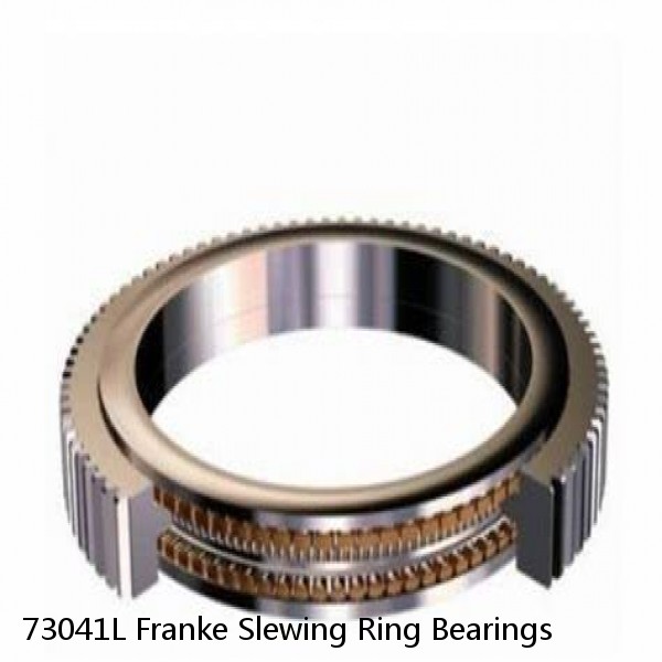 73041L Franke Slewing Ring Bearings