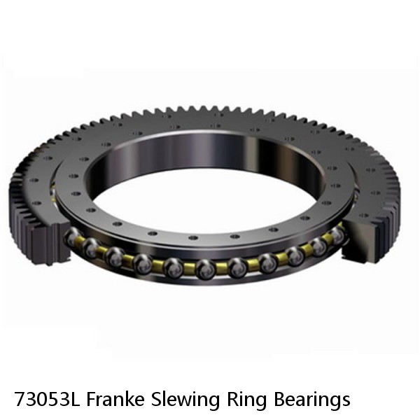 73053L Franke Slewing Ring Bearings