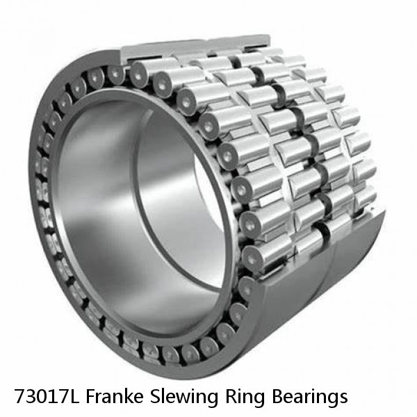 73017L Franke Slewing Ring Bearings