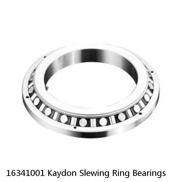 16341001 Kaydon Slewing Ring Bearings