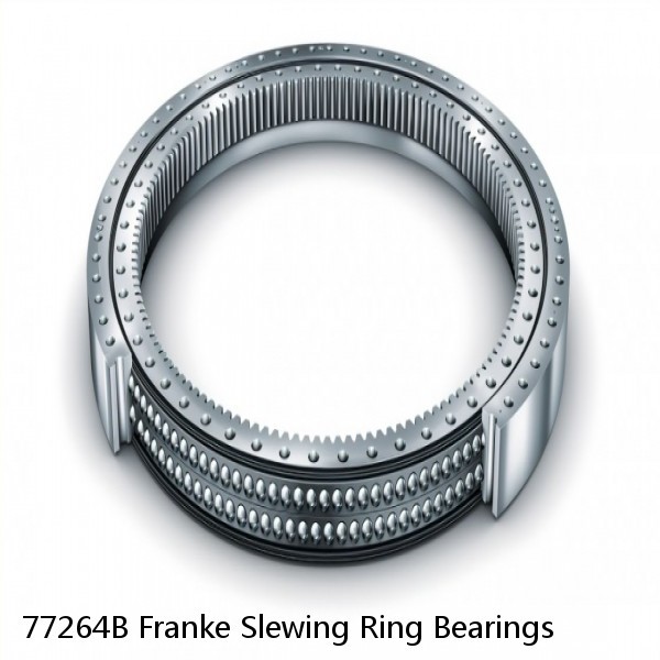 77264B Franke Slewing Ring Bearings