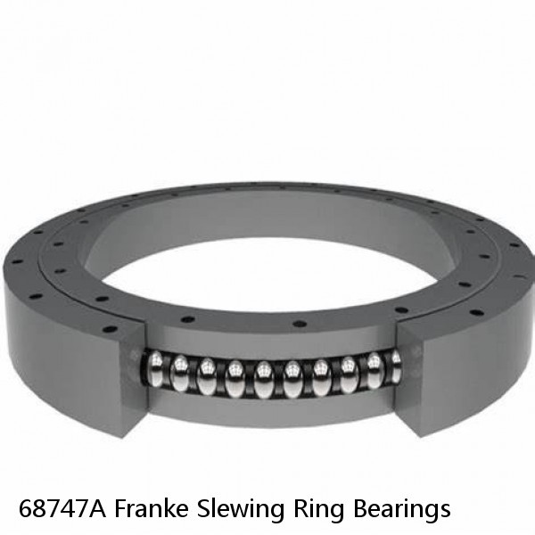 68747A Franke Slewing Ring Bearings