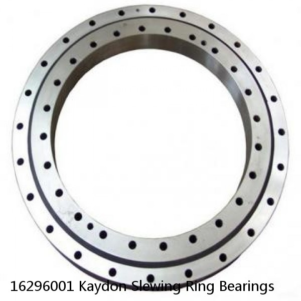 16296001 Kaydon Slewing Ring Bearings