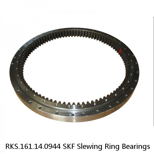 RKS.161.14.0944 SKF Slewing Ring Bearings