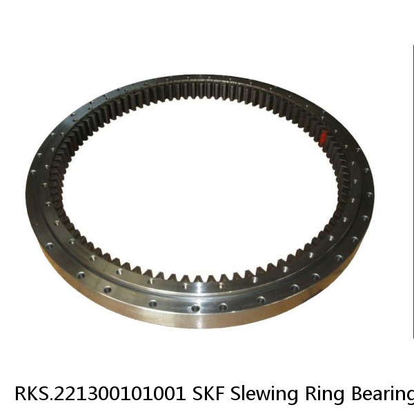 RKS.221300101001 SKF Slewing Ring Bearings