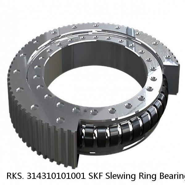 RKS. 314310101001 SKF Slewing Ring Bearings