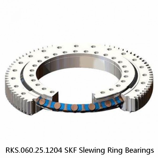 RKS.060.25.1204 SKF Slewing Ring Bearings