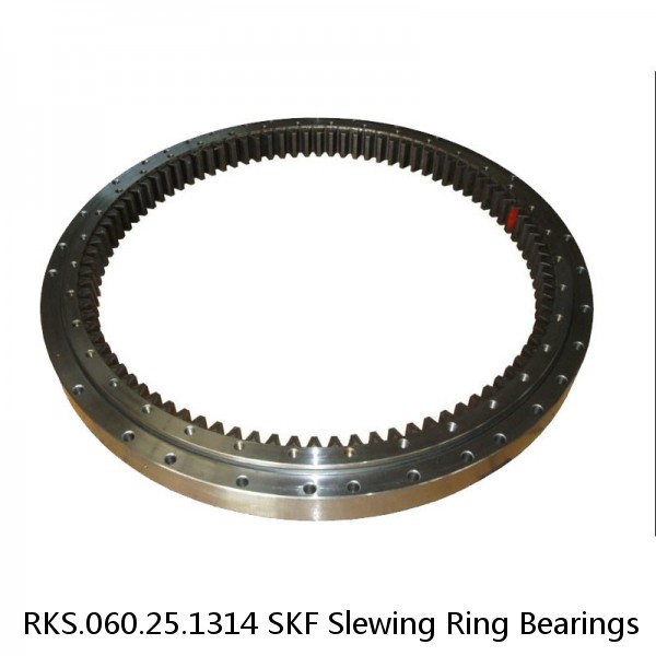 RKS.060.25.1314 SKF Slewing Ring Bearings