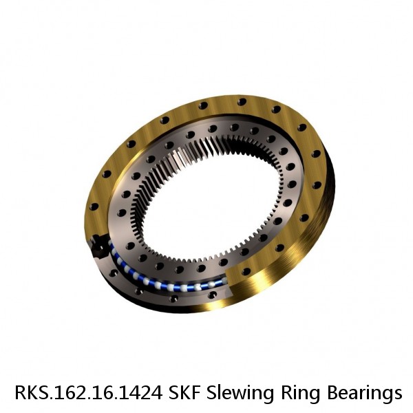 RKS.162.16.1424 SKF Slewing Ring Bearings