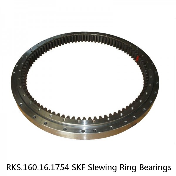 RKS.160.16.1754 SKF Slewing Ring Bearings