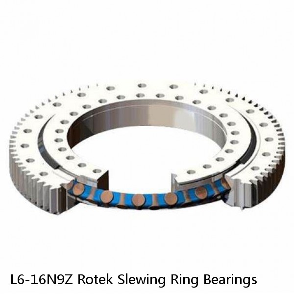 L6-16N9Z Rotek Slewing Ring Bearings