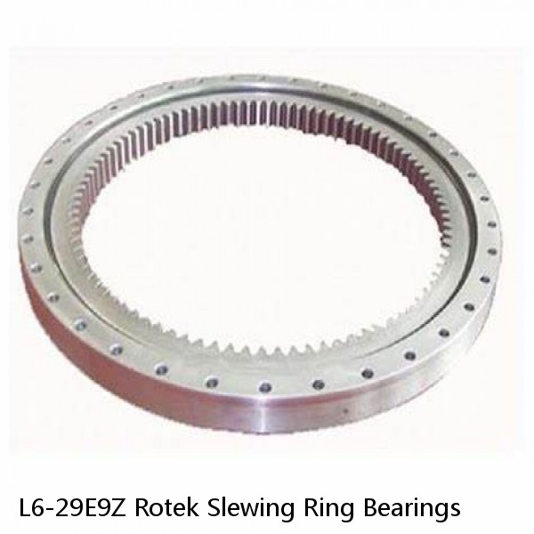 L6-29E9Z Rotek Slewing Ring Bearings