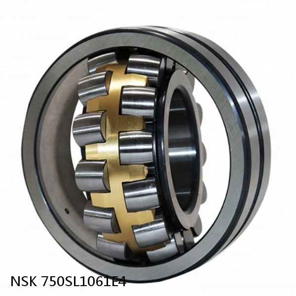 750SL1061E4 NSK Spherical Roller Bearing