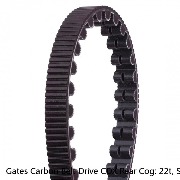 Gates Carbon Belt Drive CDX Rear Cog: 22t, Shimano/Sram 3 Lobe, Alfine