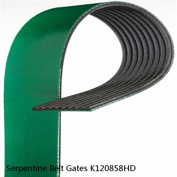 Serpentine Belt Gates K120858HD