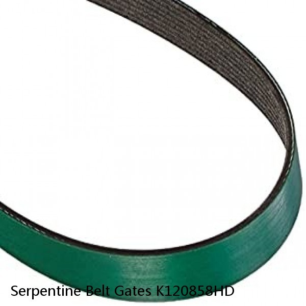 Serpentine Belt Gates K120858HD