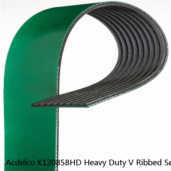 Acdelco K120858HD Heavy Duty V Ribbed Serpentine Belt